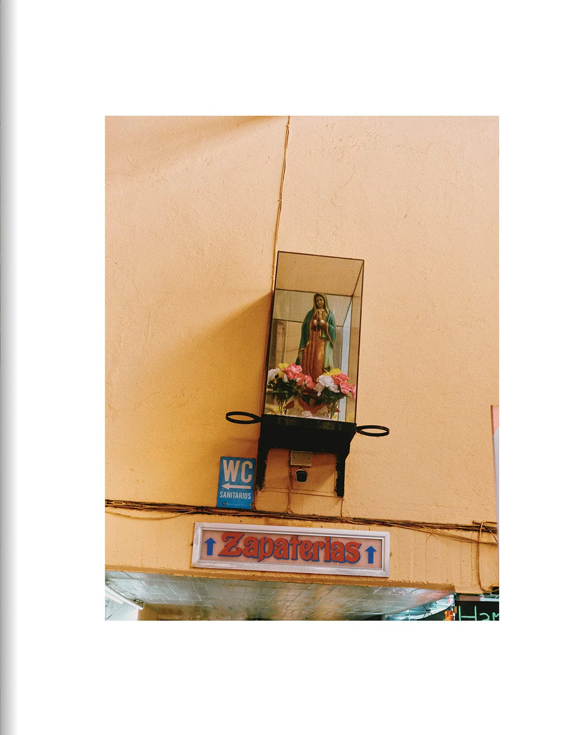 EL BAJÍO: Recipes & Wanderings Through Mexico's Heartland - Image 3