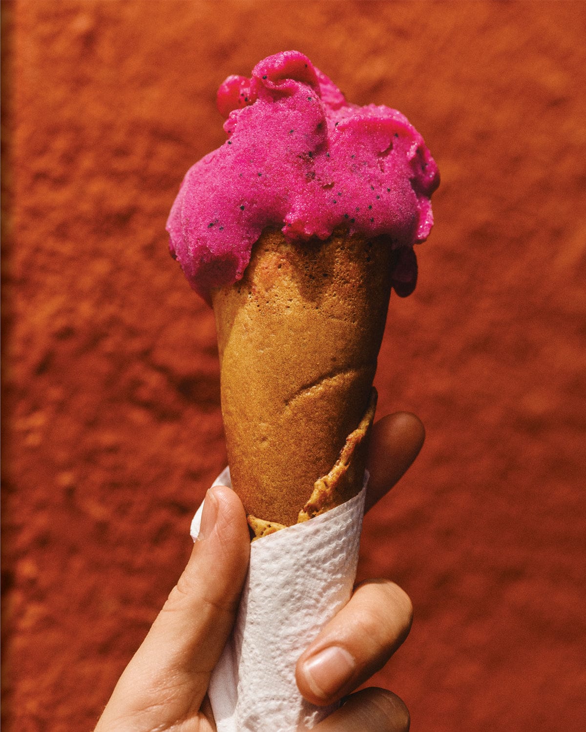 EL BAJÍO: Recipes & Wanderings Through Mexico's Heartland - Image 5