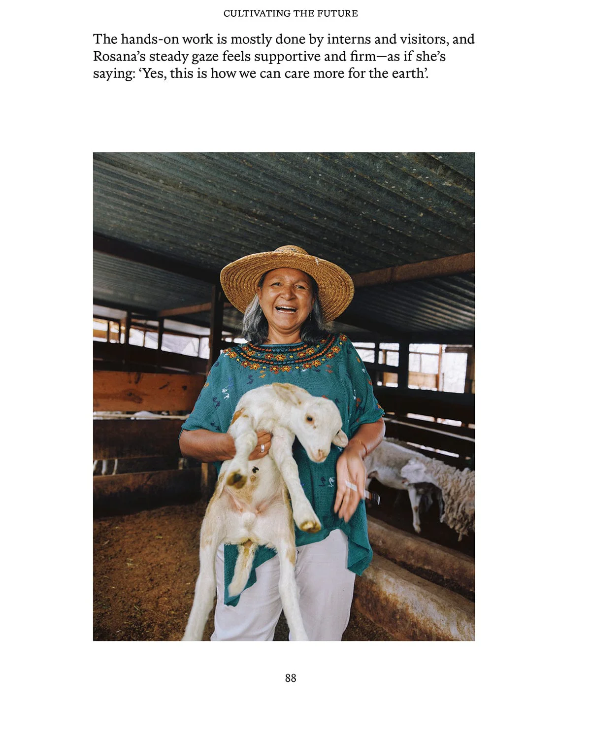 EL BAJÍO: Recipes & Wanderings Through Mexico's Heartland - Image 8